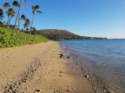 Sandee - Portlock Beach