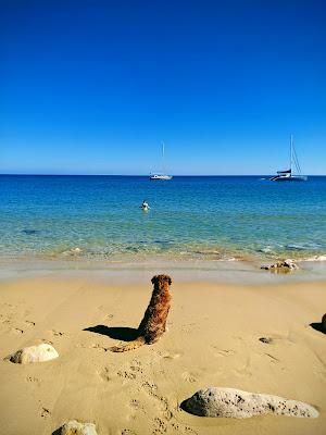 Sandee - Praia Da Mareta