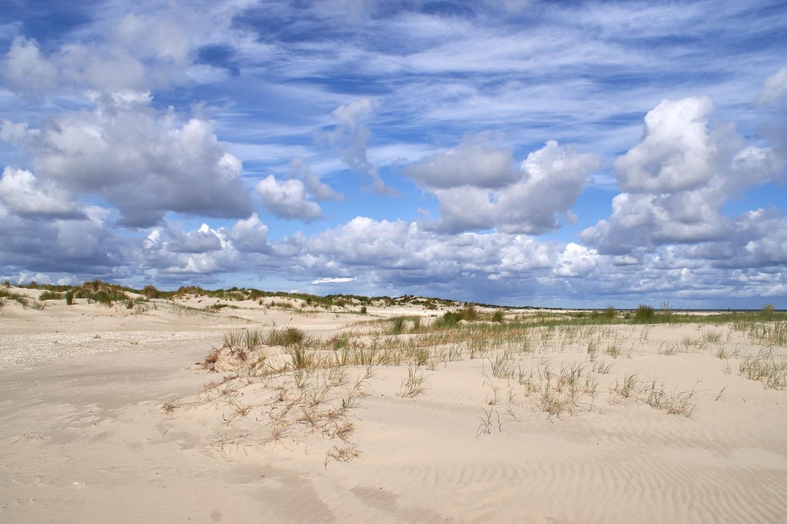 Sandee Hooge Horn Borkum Photo