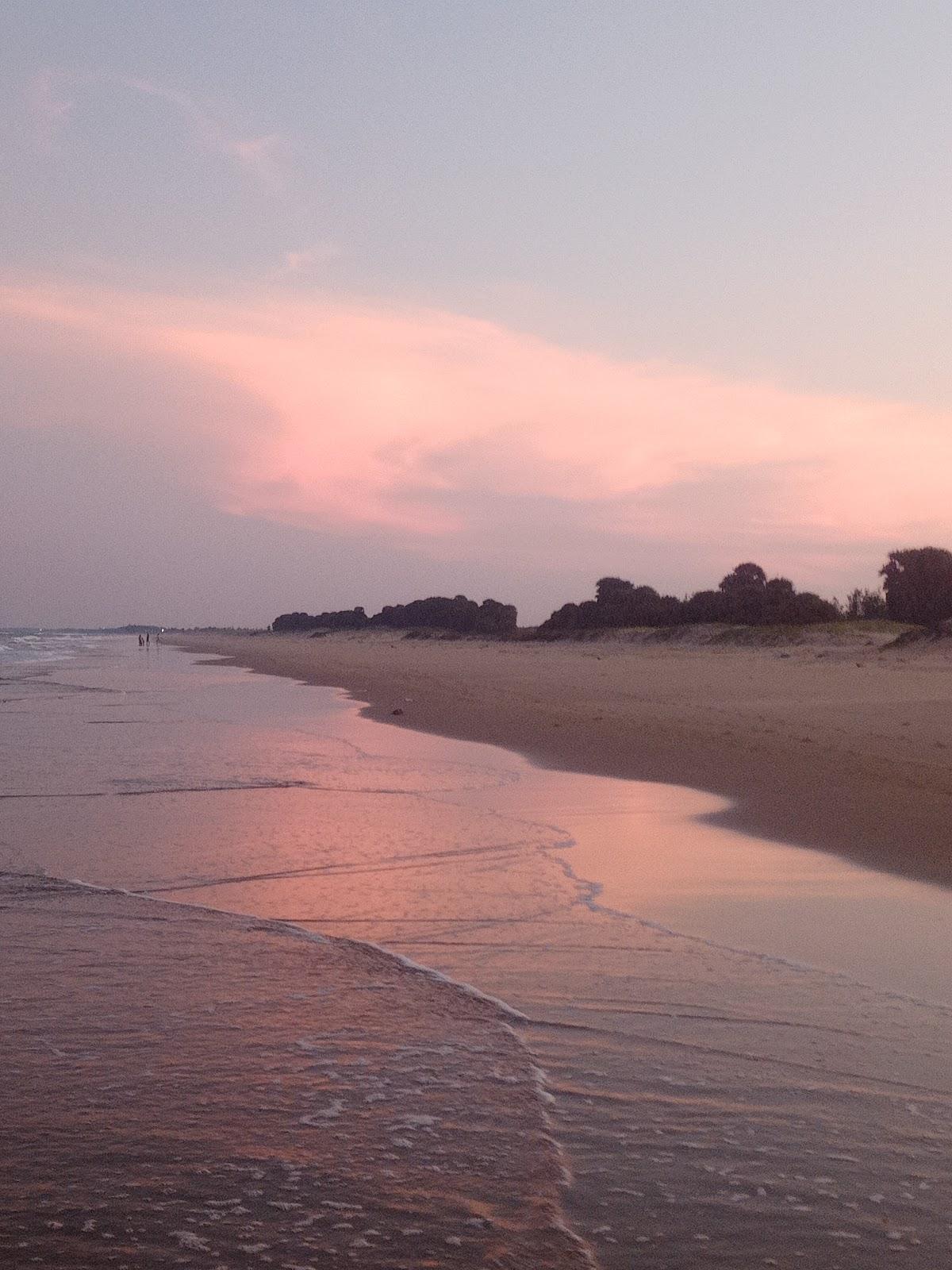 Sandee Rasapettai Beach Photo