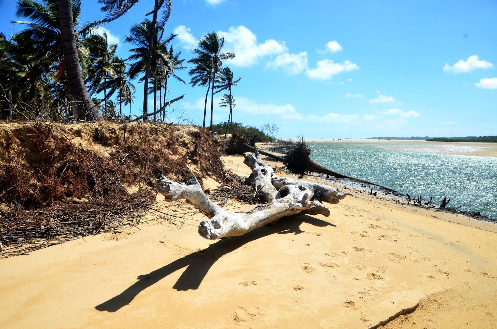 Sandee Praia De Capim Acu