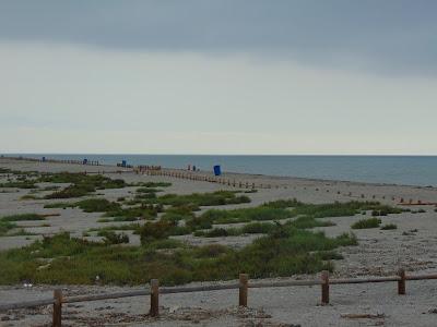 Sandee - Playa De Cerrilos