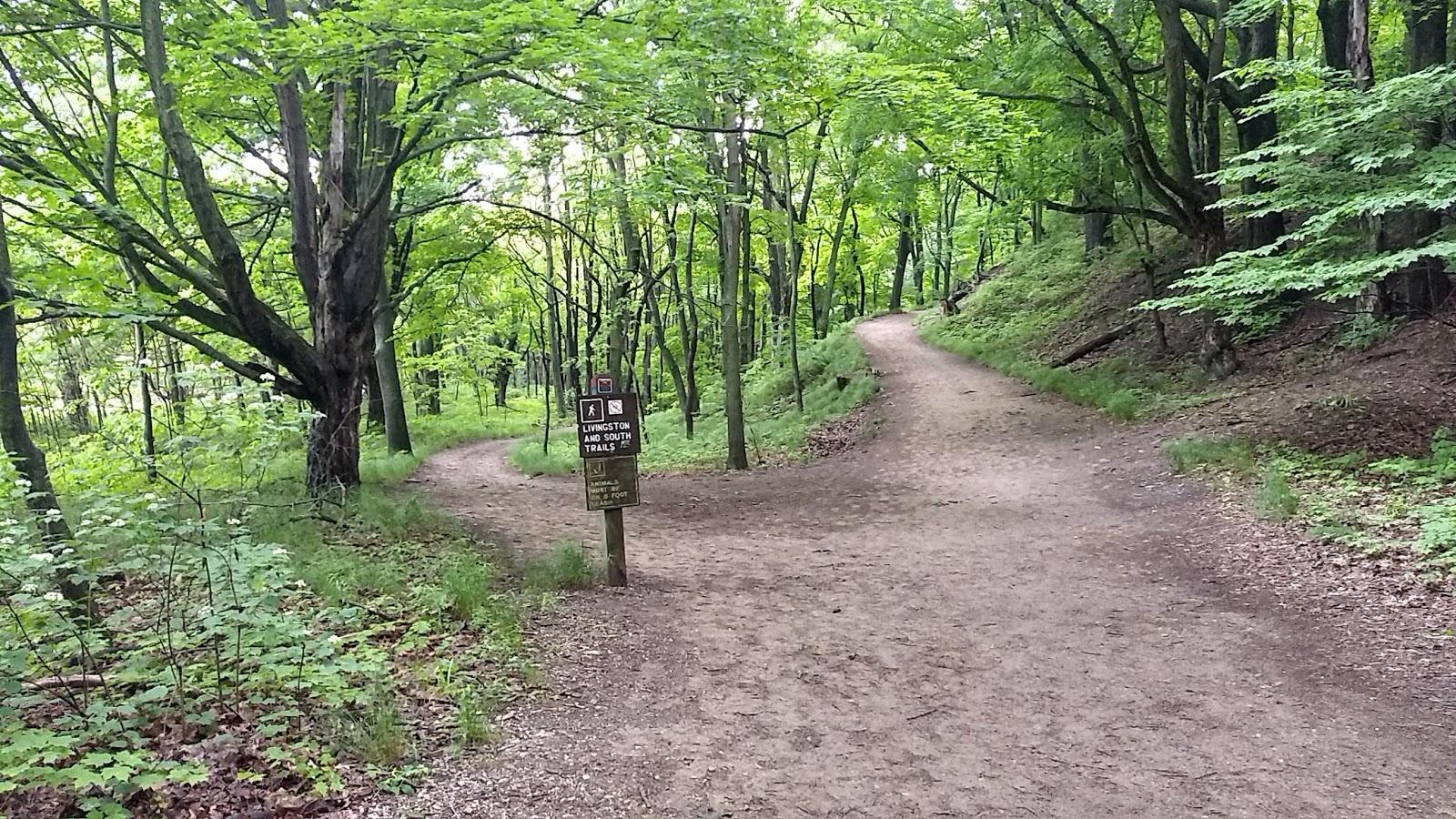 Sandee - Saugatuck Dunes State Park