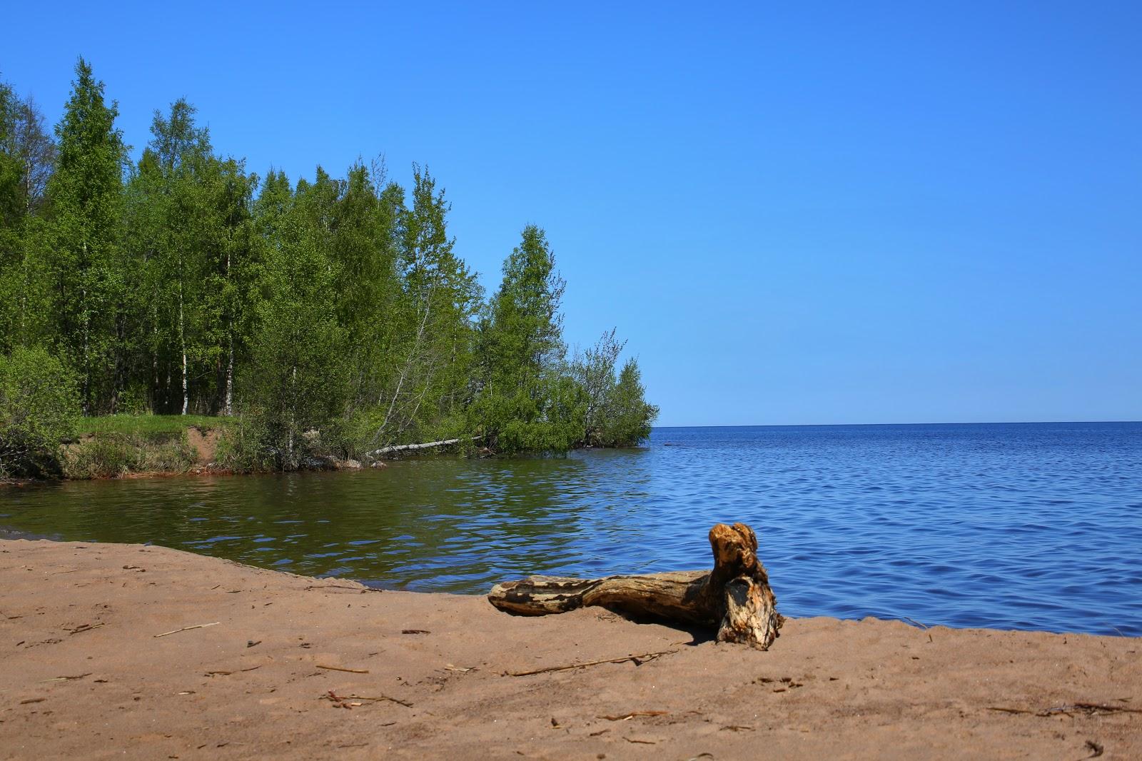 Sandee Holtzman Bay