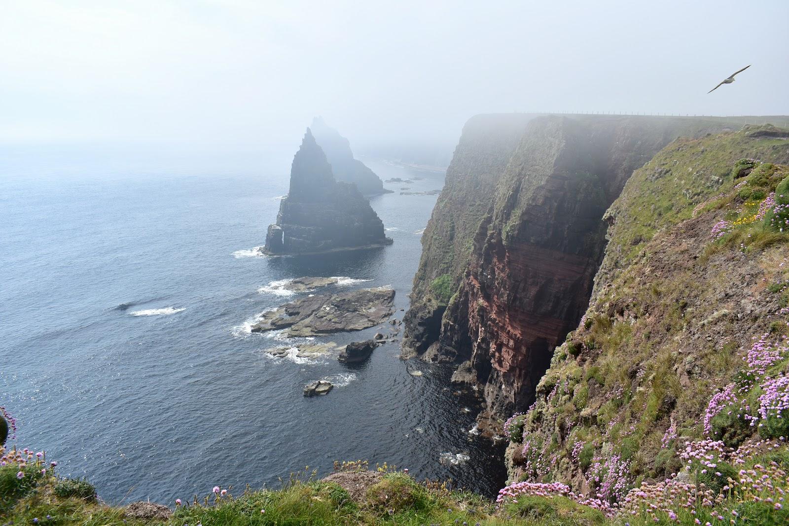 Sandee Duncansby Head Beach