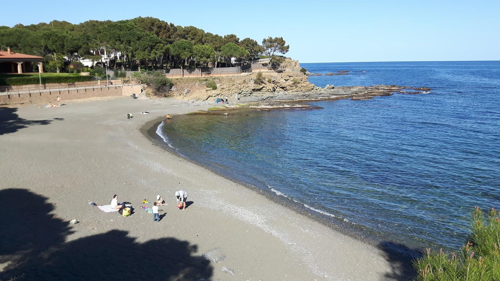 Sandee Playa De Farella Del Mig A Llanca Photo