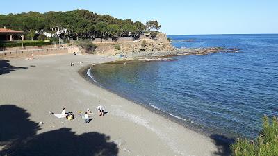 Sandee - Playa De Farella Del Mig A Llanca