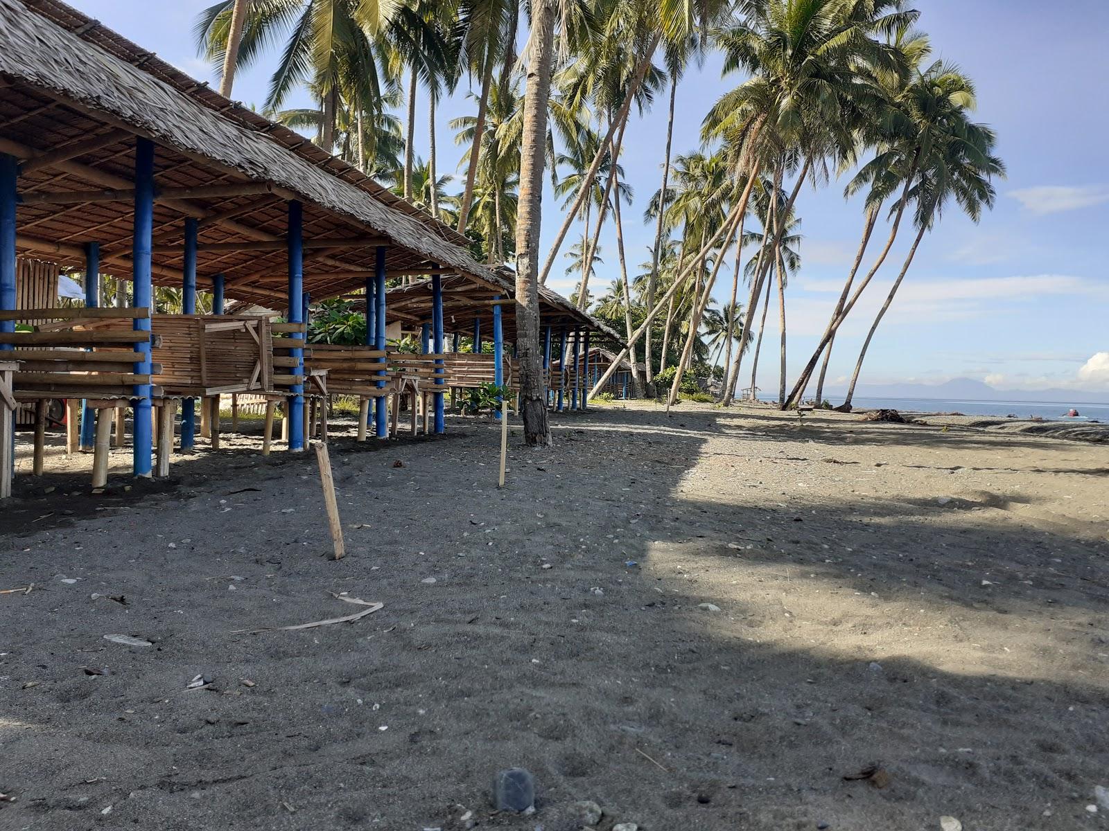 Sandee Vegashore Beach Photo