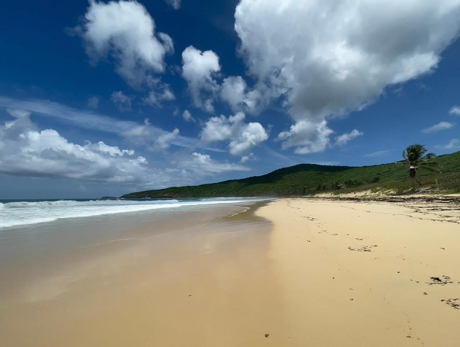 Sandee Resaca Beach Photo