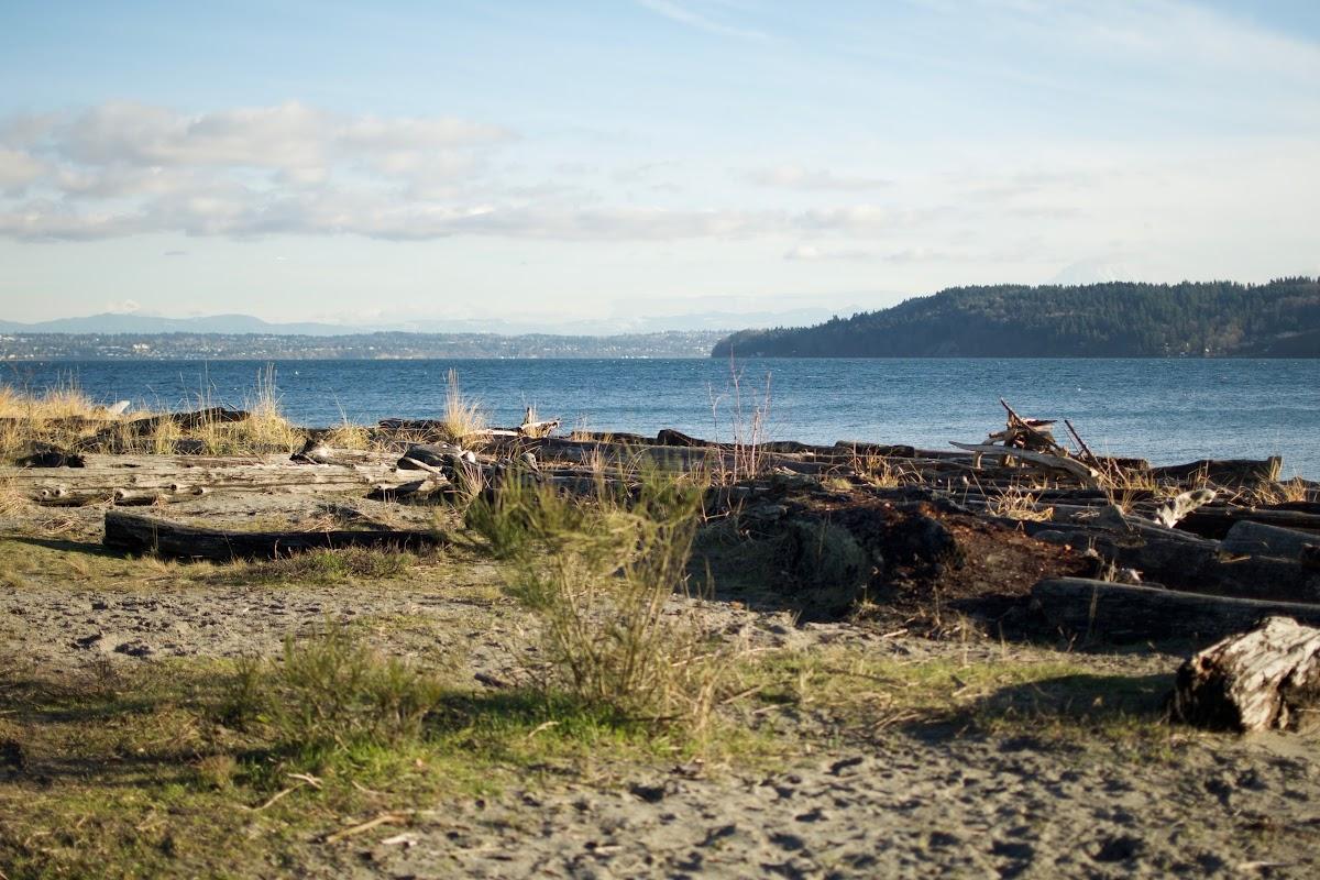 Sandee East Vashon Island, Beach 85 Photo