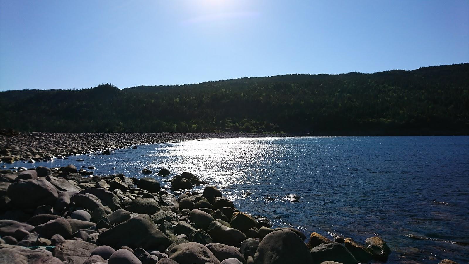 Sandee Freshwater Bay, Beach 417