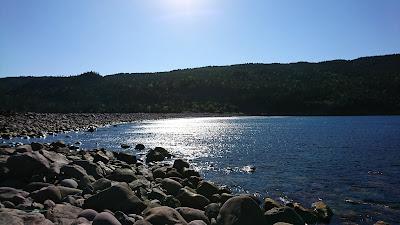 Sandee - Freshwater Bay, Beach 417