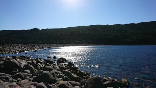 Sandee Freshwater Bay, Beach 417 Photo