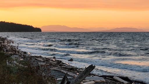 Sandee Kitty Coleman Beach Provincial Park Photo