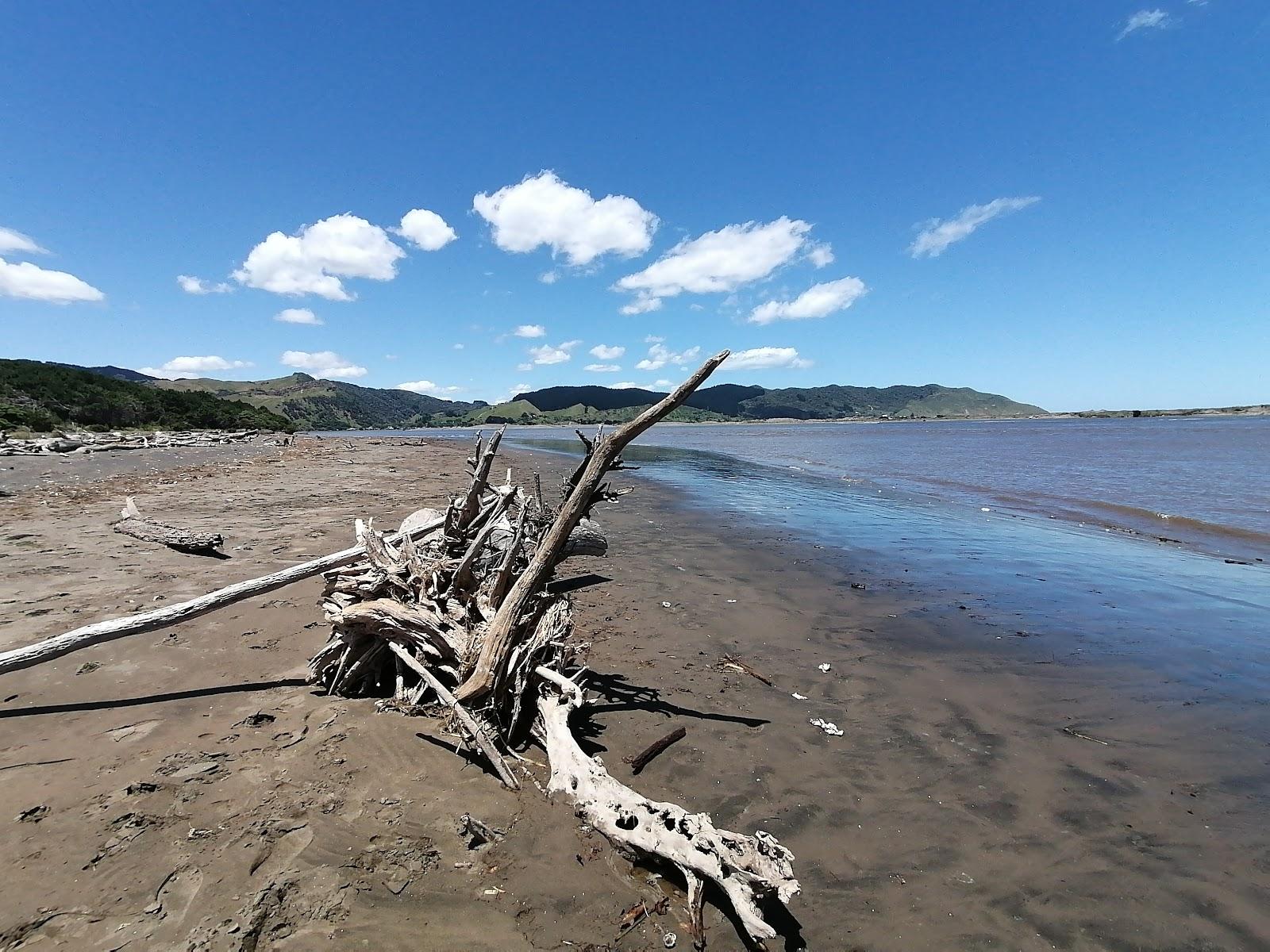 Sandee Waiuku Forest Beach