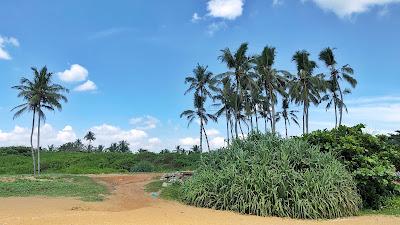 Sandee - Pinwatte Beach