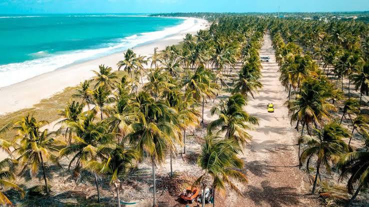 Sandee - Praia De Maracaipe