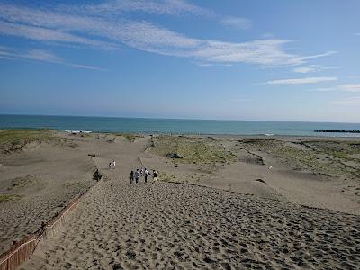 Sandee - Nakatajima Sand Dunes