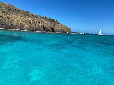 Sandee - Buck Island National Park