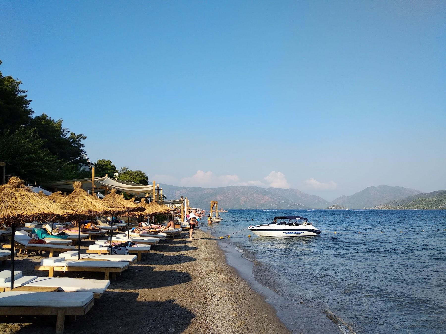 Sandee Icon Beach
