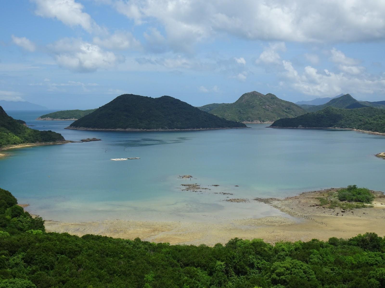 Sandee Au Pui Tong