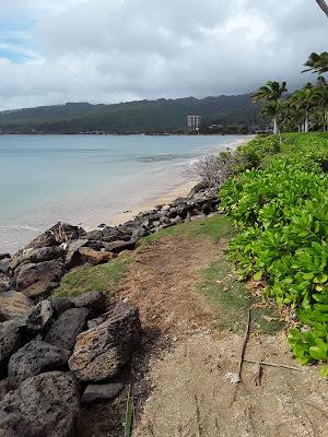 Sandee - Portlock Beach