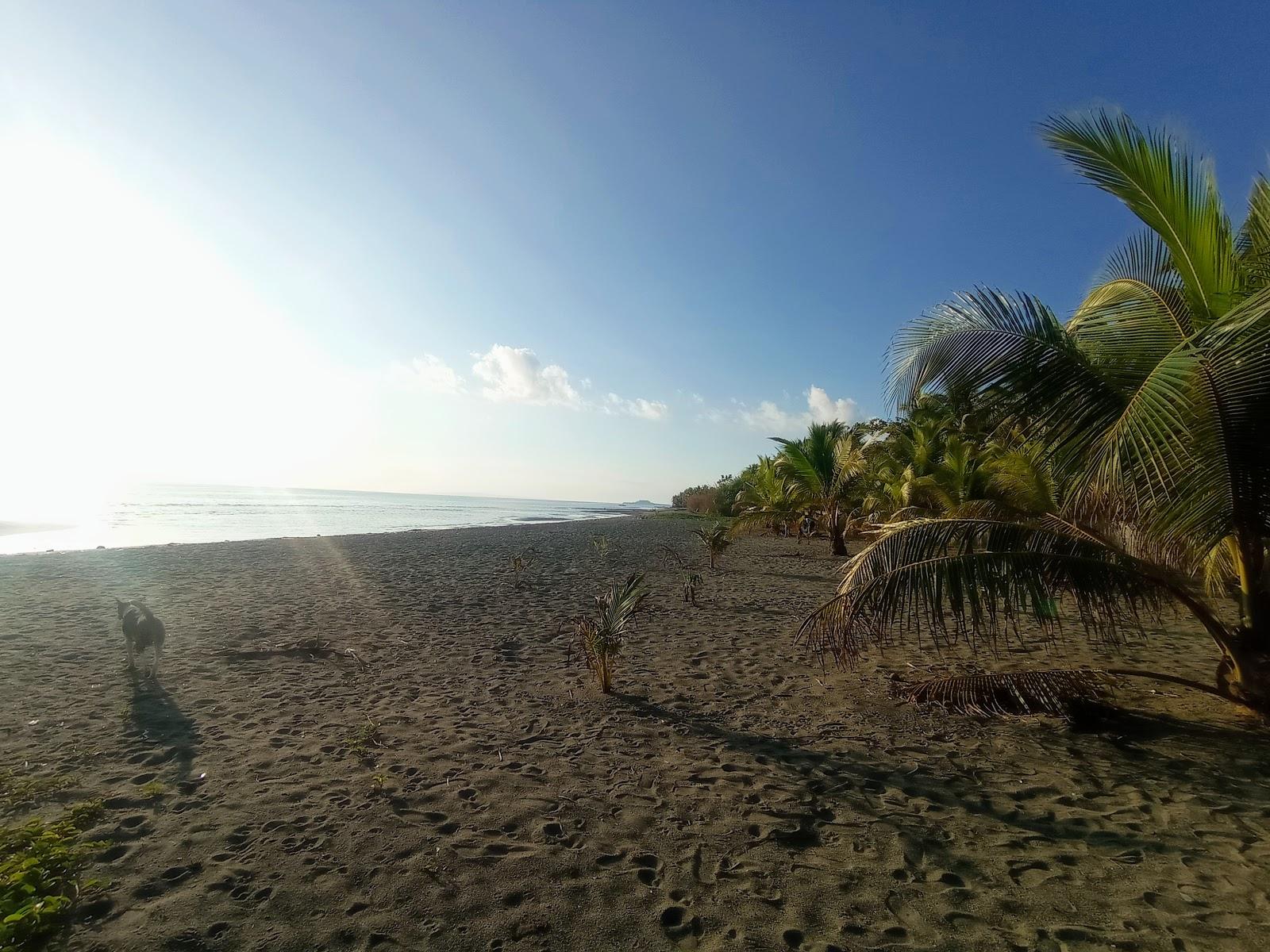 Sandee Heritage Beach Resort