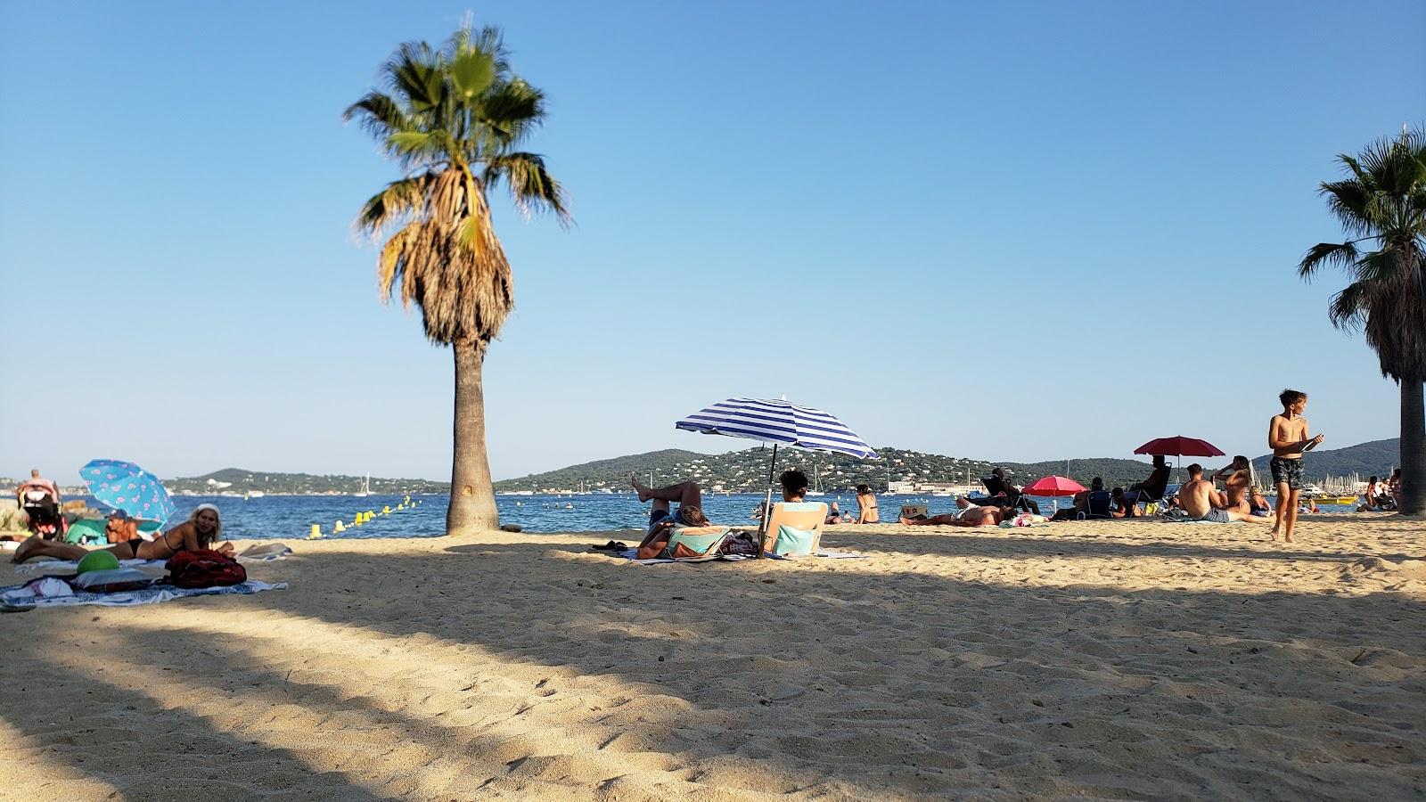 Sandee Plage De Port Grimaud Photo