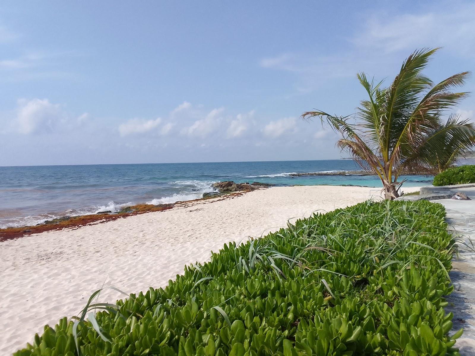 Sandee Caleta Tankah - Tulum Mexico Photo