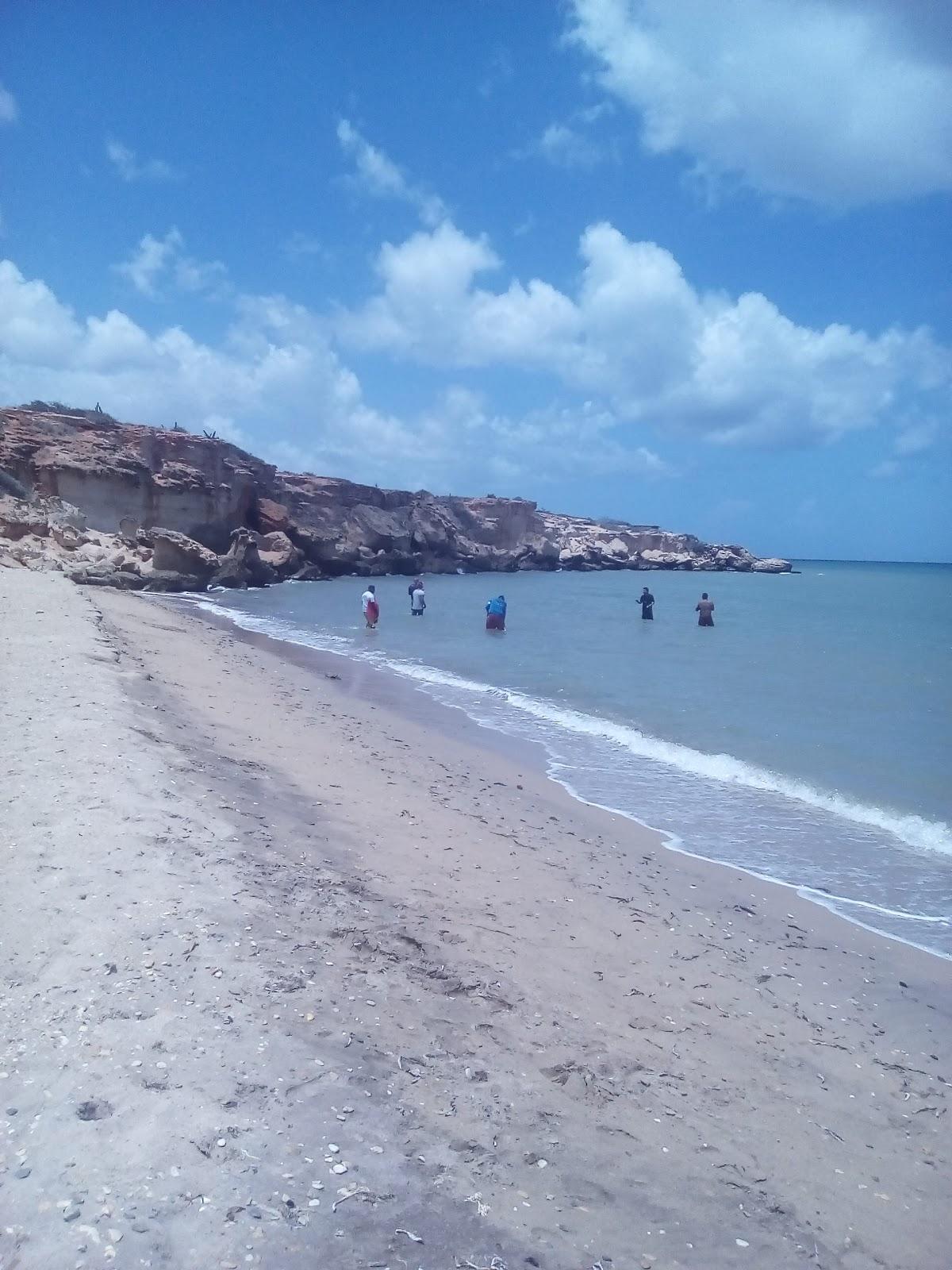 Sandee Playa Vlr101