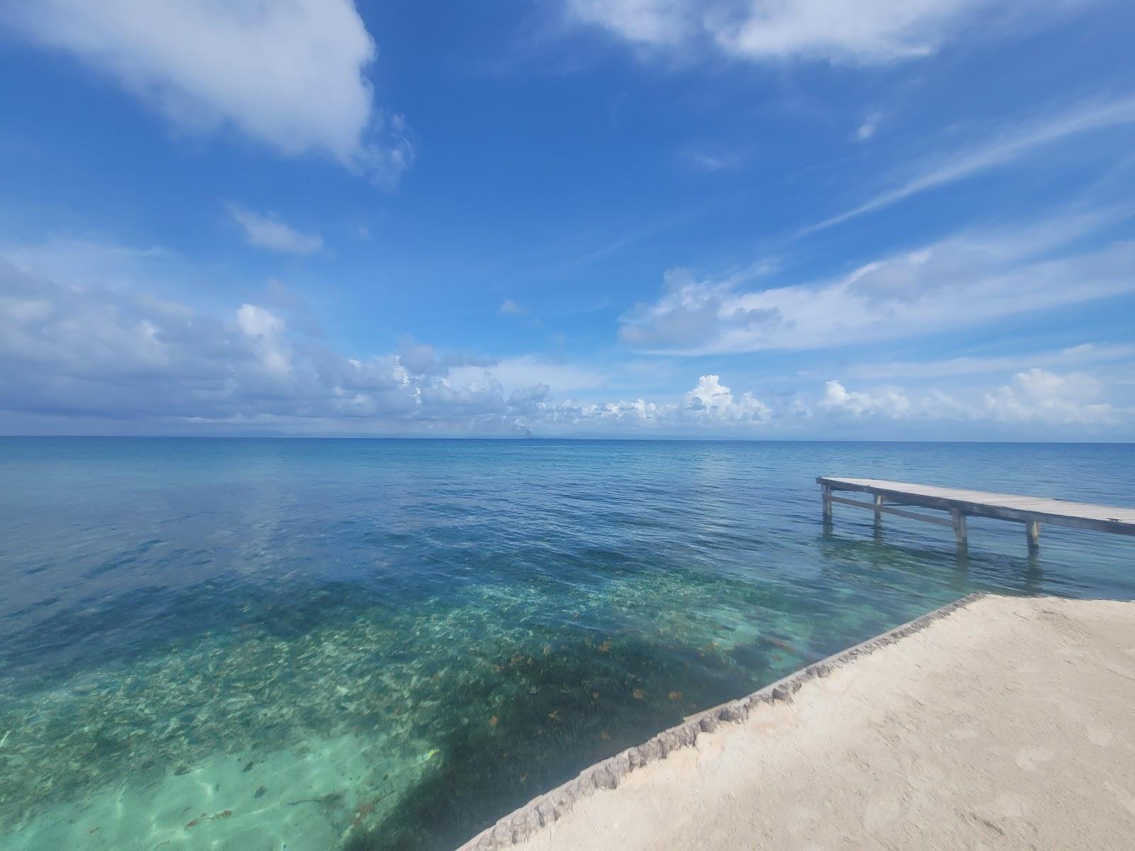 Sandee Bread & Butter Caye