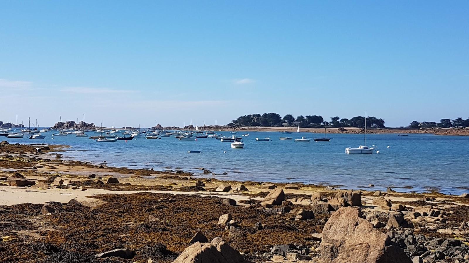 Sandee Plage Dans L'Anse De Pellinec Photo