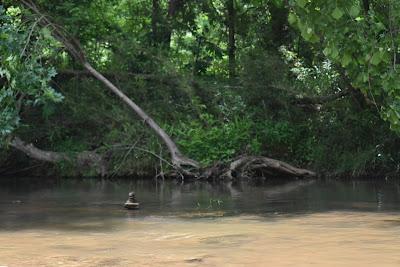 Sandee - Burnt Mills Creek