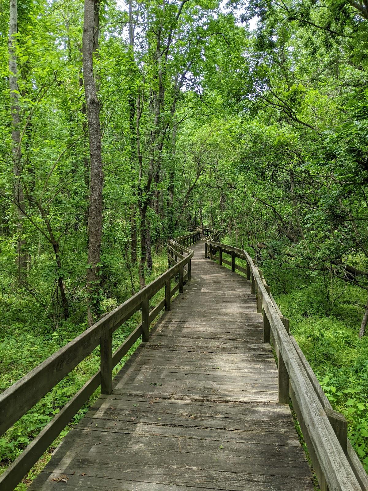 Sandee Cape Charles Natural Area Preserve Photo