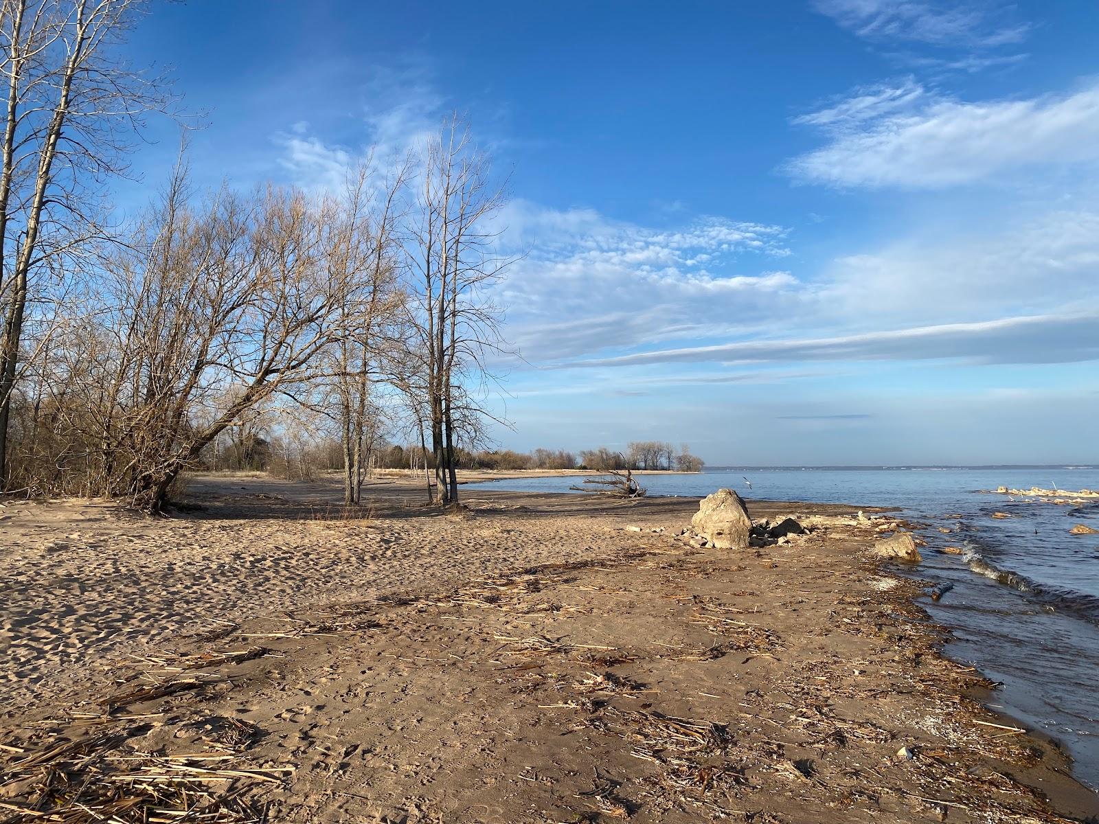 Sandee Aronson Island