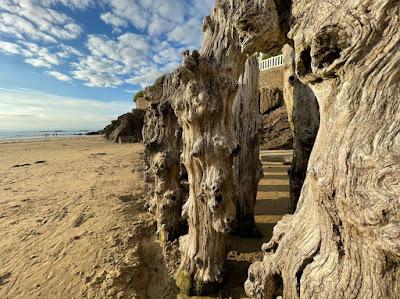 Sandee - Plage De La Roche Martin