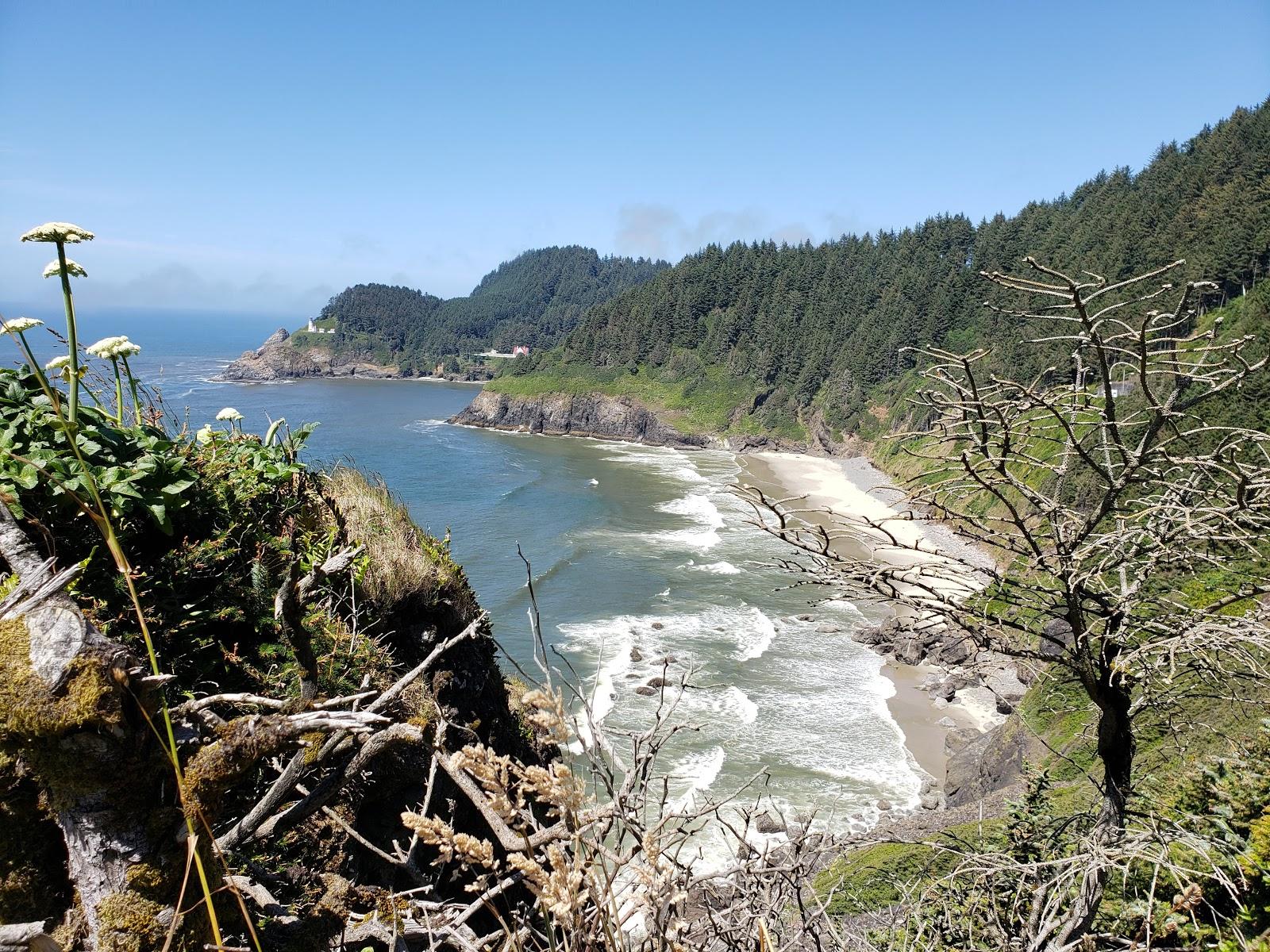 Sandee Ocean Beach Picnic Area