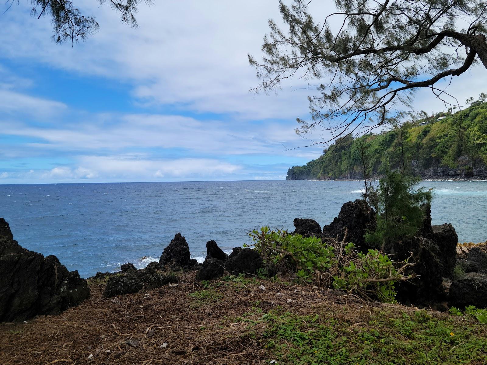 Sandee - Laupahoehoe Beach County Park