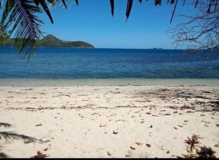 Sandee Alina's Beach