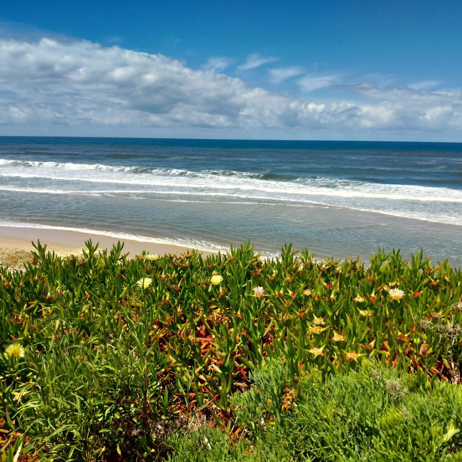 Sandee Praia Da Vagueira