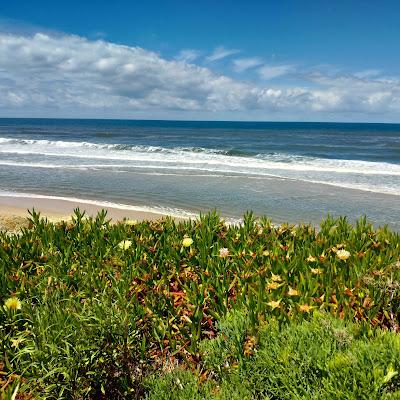 Sandee - Praia Da Vagueira