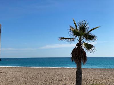 Sandee - Playa Del Forti