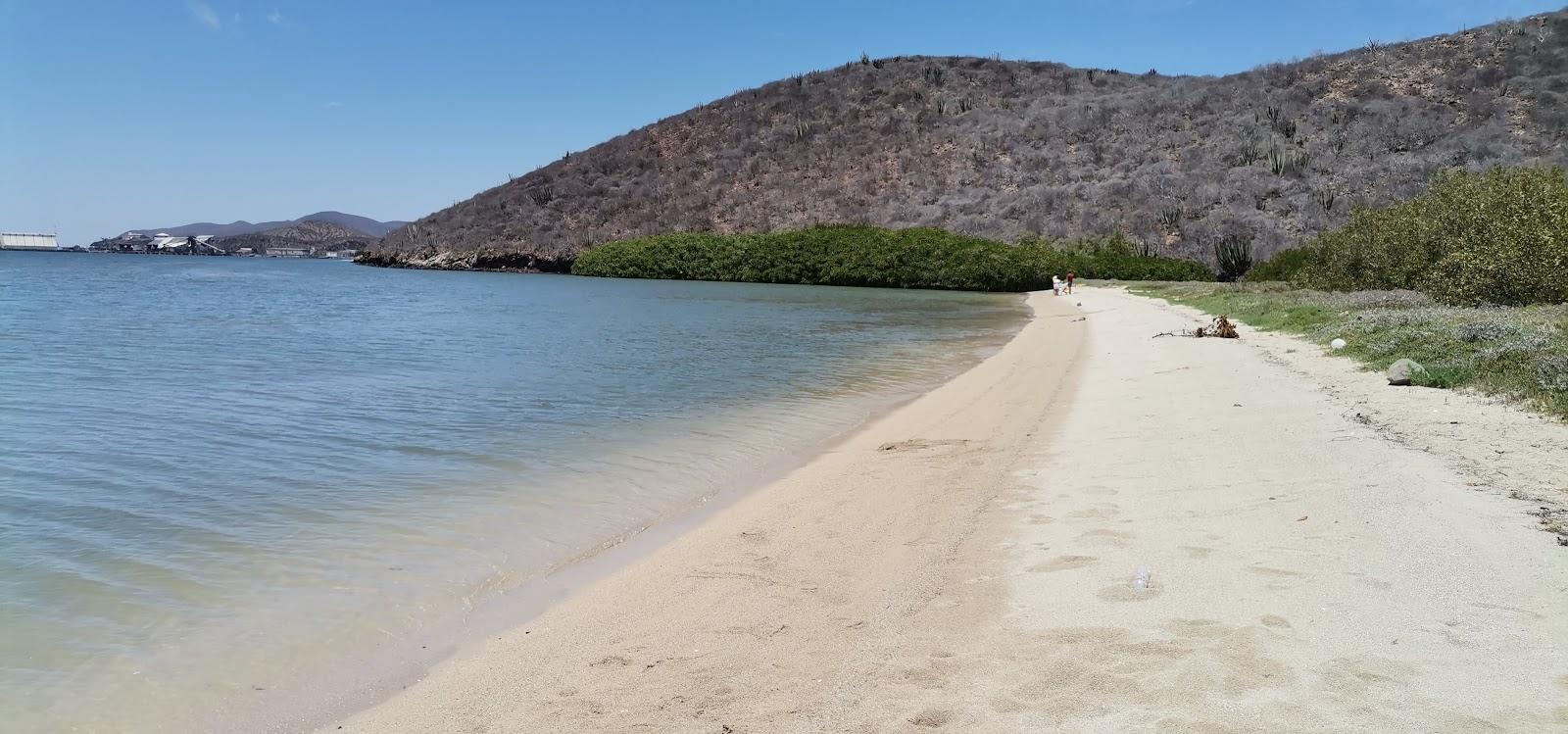 Sandee Playa Las Hamacas