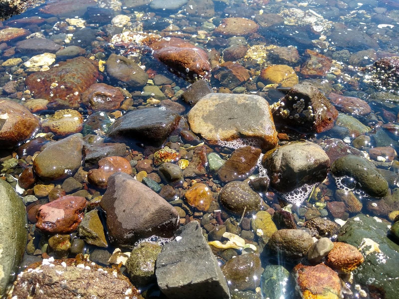 Sandee - Triton Cove State Park