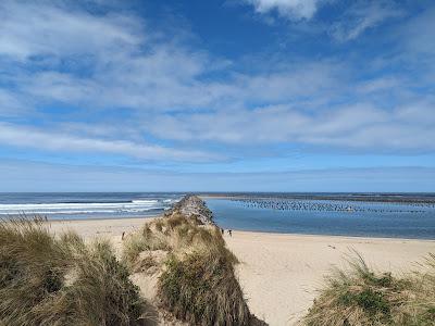 Sandee - Ziolkouski Beach Park