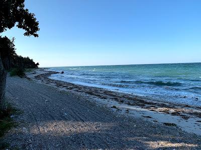 Sandee - Enebaerodde Beach