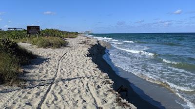 Sandee - Dr. Von D. Mizell-Eula Johnson State Park