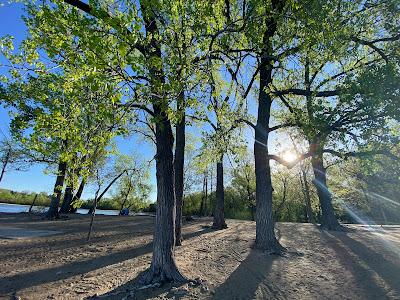 Sandee - Cedar Lake Beach