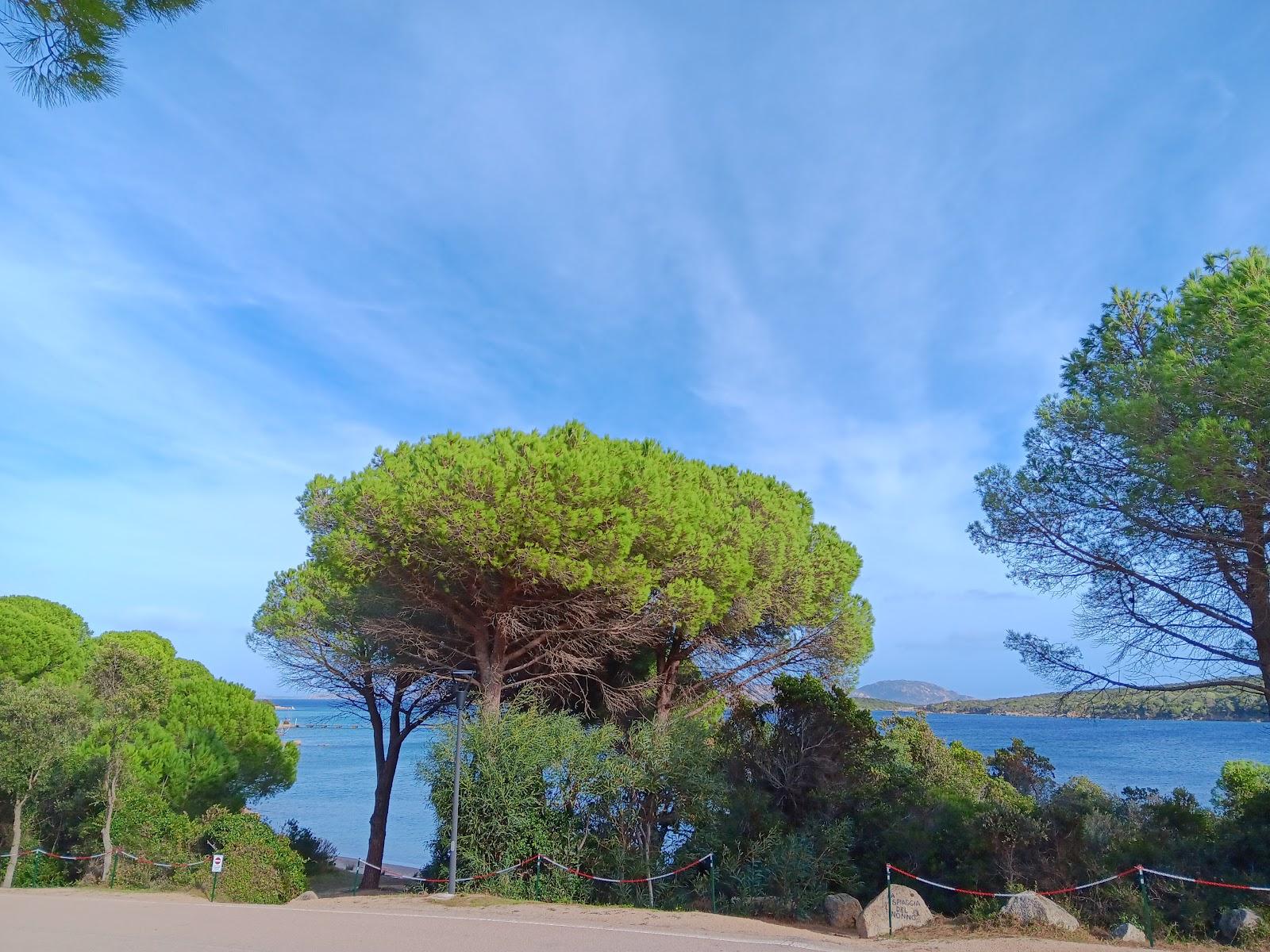 Sandee Spiaggia Del Nonno