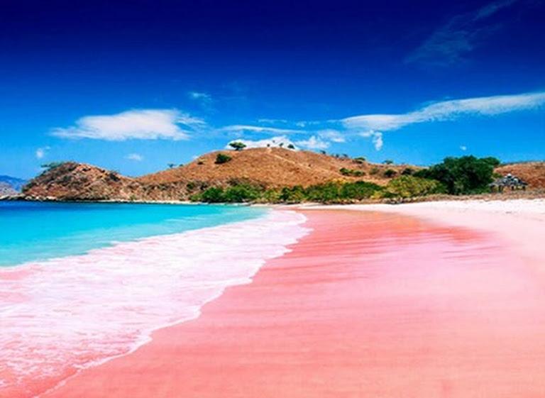 Sandee - Pink Beach